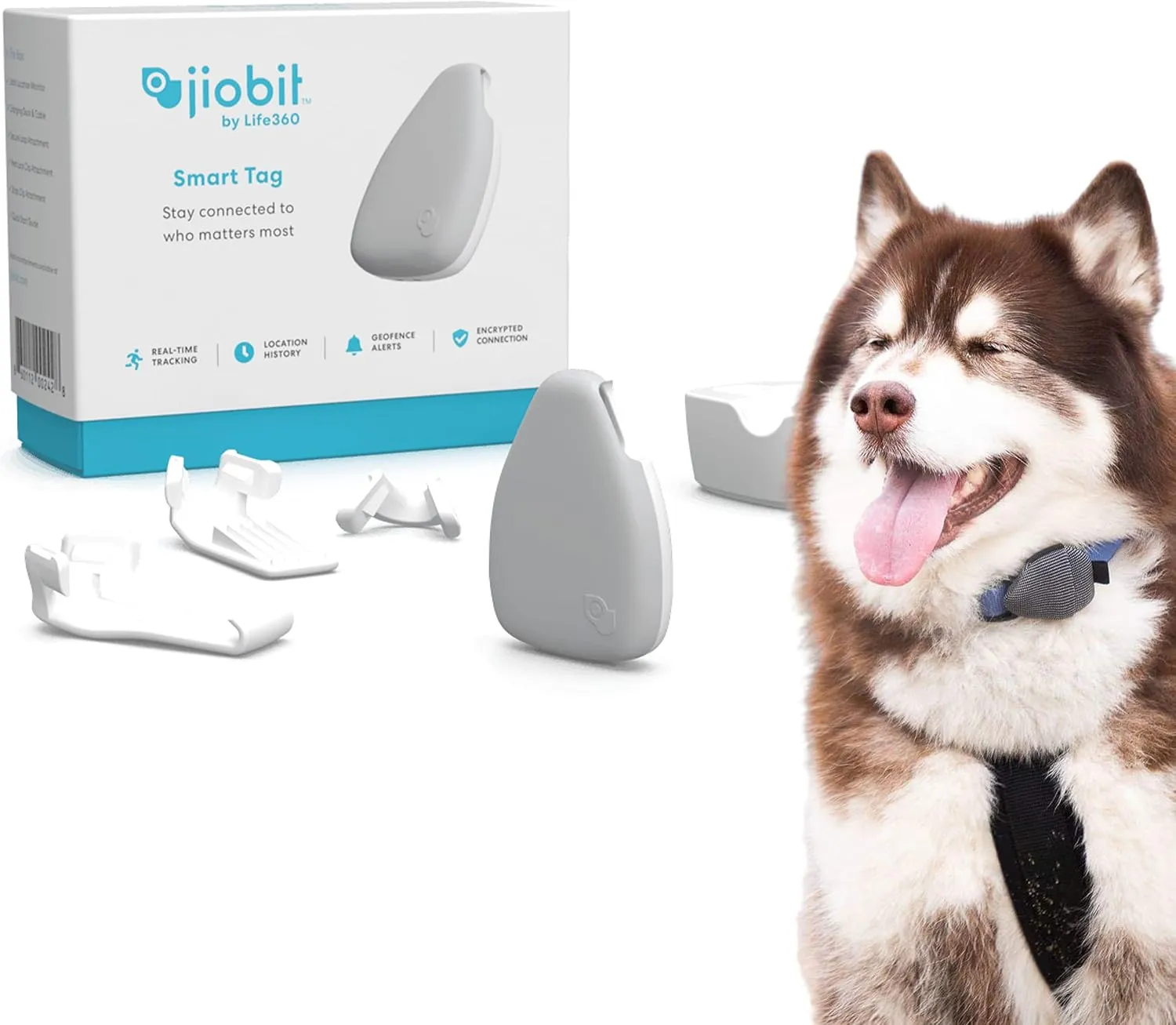Jiobit Lightweight and Water-Resistant Real-Time GPS Dog Tracker