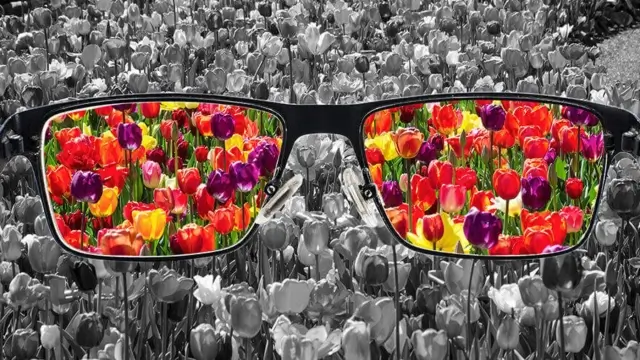 Top 5 Colorblind Glasses in 2026 UK – Ava’s Review