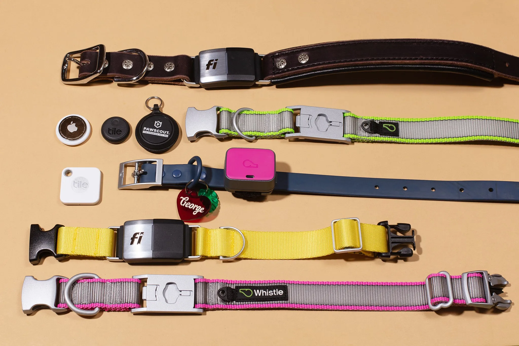 Best 5 Dog GPS Collars in 2026 US – Ava’s Review